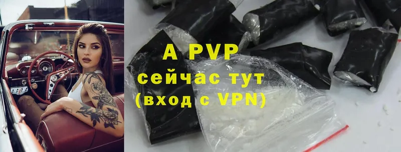 A-PVP СК  Кинешма 